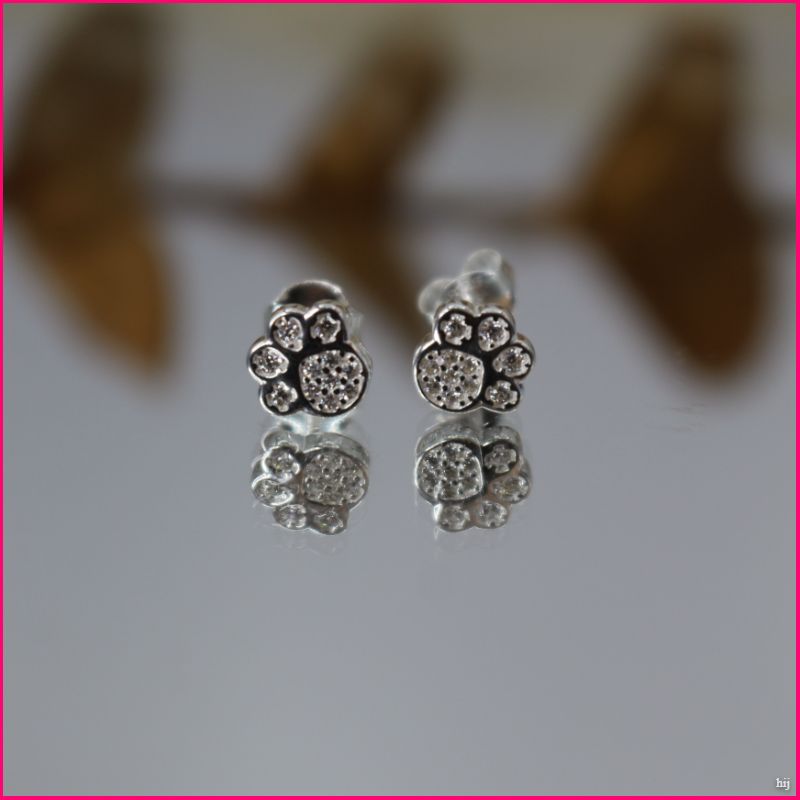 Aros Huellitas de Plata Ley 925 con Zircones 🐾