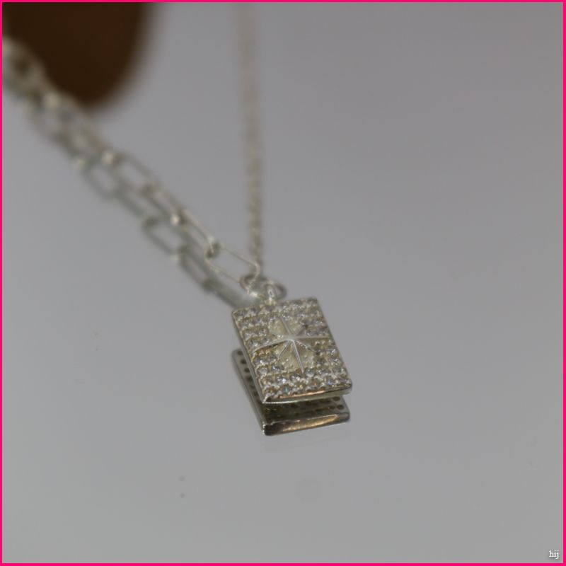 Collar Estrella Guía