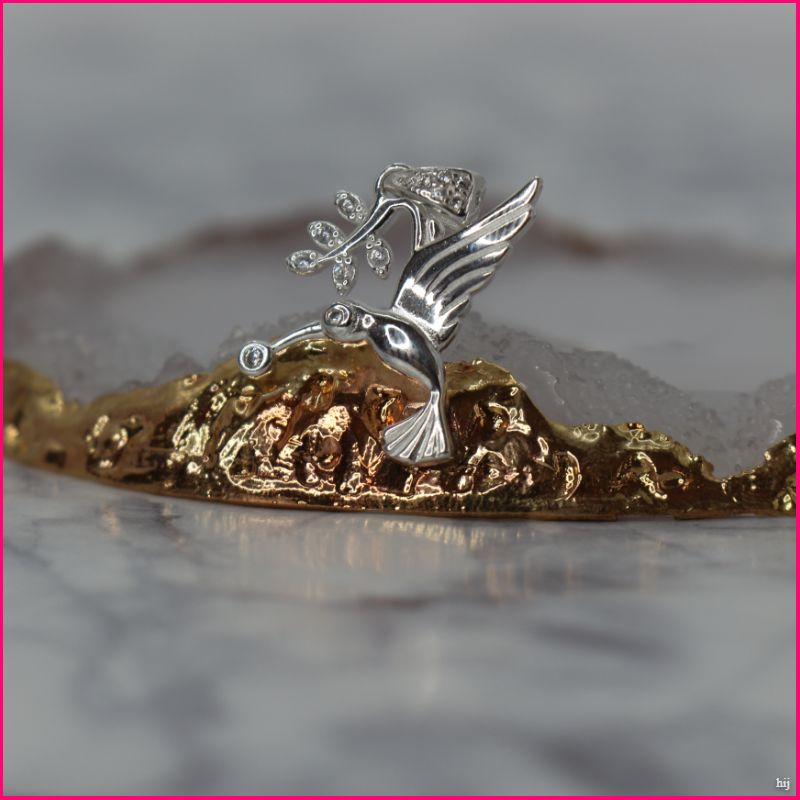 Colgante Colibrí en Plata 925: Un Símbolo de Libertad y Belleza 🕊️