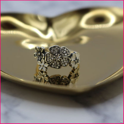 Anillo Esencia Natural🌸