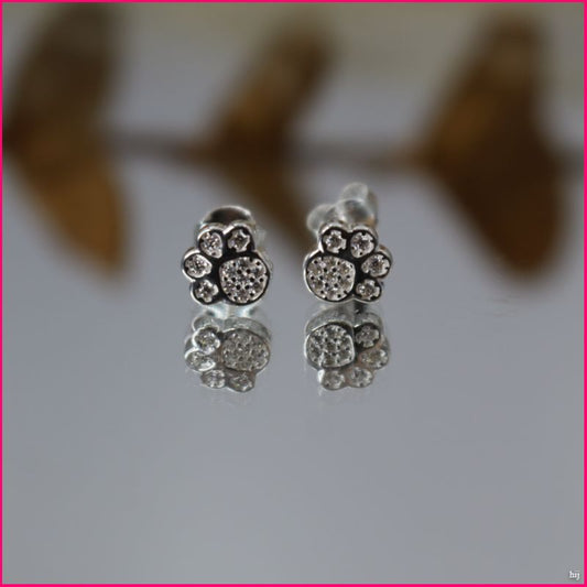 Aros Huellitas de Plata Ley 925 con Zircones 🐾