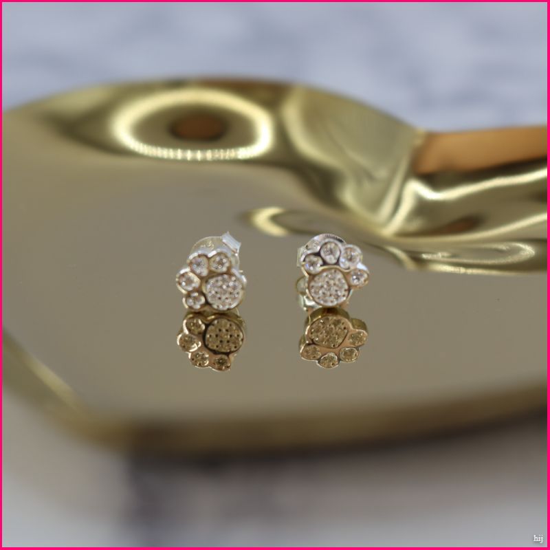 Aros Huellitas de Plata Ley 925 con Zircones 🐾