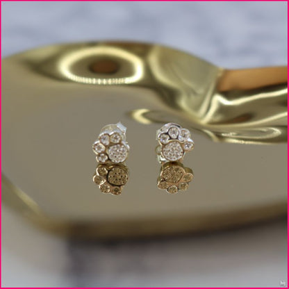 Aros Huellitas de Plata Ley 925 con Zircones 🐾